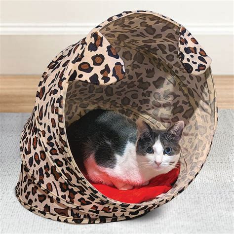 Kitty Cabana – all the fun you can handle!.